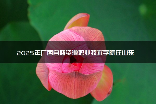 2025年广西自然资源职业技术学院在山东招生代码及专业代码 广西自然资源职业技术学院山东代码是多少？怎么查询？