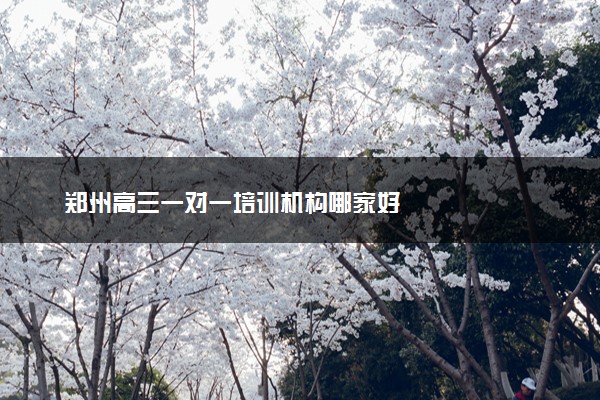 郑州高三一对一培训机构哪家好
