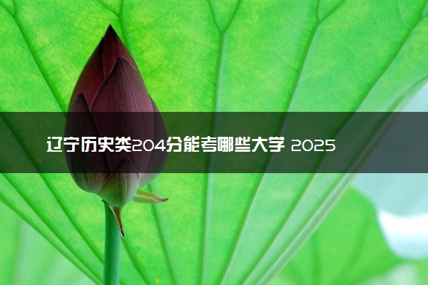 辽宁历史类204分能考哪些大学 2025考生稳上的大学名单