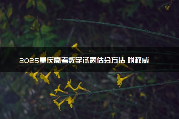 2025重庆高考数学试题估分方法 附权威解读及评分标准（全国二卷）