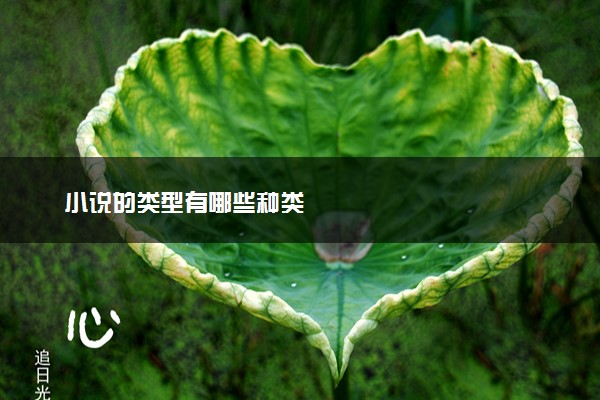小说的类型有哪些种类