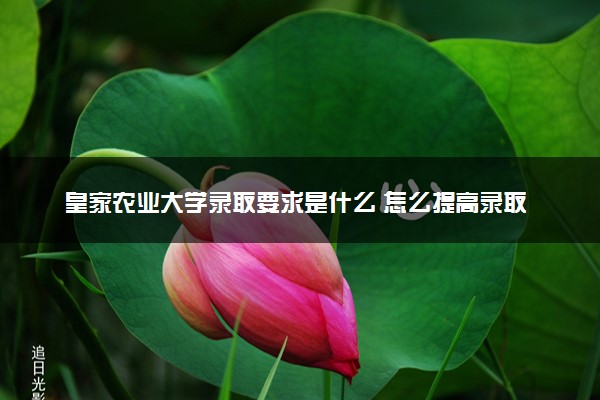 皇家农业大学录取要求是什么 怎么提高录取率