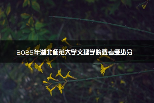 2025年湖北师范大学文理学院要考多少分才能上？历年录取分数线及报考指南（含预测）