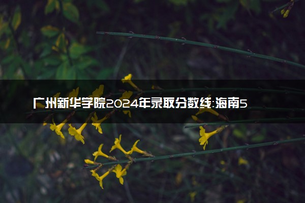 广州新华学院2024年录取分数线：海南538分领跑，新疆262分垫底 2025报考建议及事项