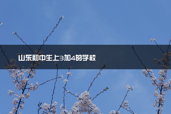 山东初中生上3加4的学校