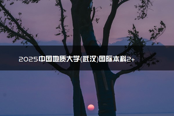 2025中国地质大学（武汉）国际本科2+2韩国留学招生简章
