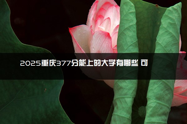 2025重庆377分能上的大学有哪些 可以报考院校名单
