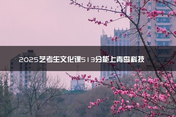 2025艺考生文化课513分能上青岛科技大学吗