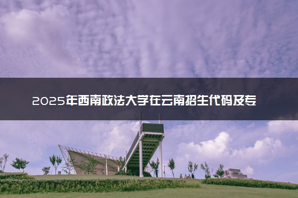 2025年西南政法大学在云南招生代码及专业代码 西南政法大学云南代码是多少？怎么查询？