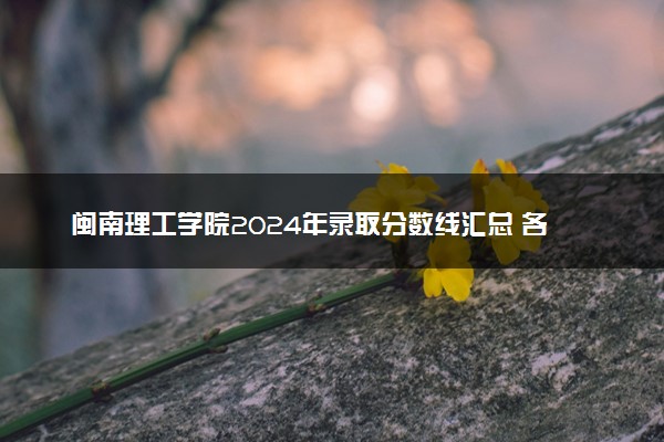 闽南理工学院2024年录取分数线汇总 各省最低分与位次排名及2025报考指南