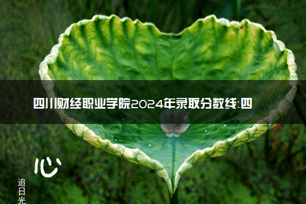 四川财经职业学院2024年录取分数线：四川461分领跑，云南355分垫底 2025报考建议及事项