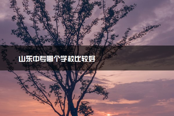 山东中专哪个学校比较好