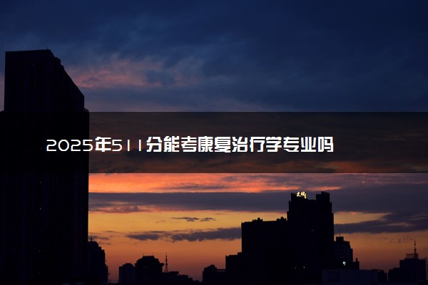 2025年511分能考康复治疗学专业吗 511分康复治疗学专业大学推荐