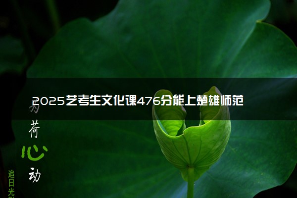 2025艺考生文化课476分能上楚雄师范学院吗