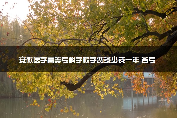 安徽医学高等专科学校学费多少钱一年 各专业收费标准（2025年参考）