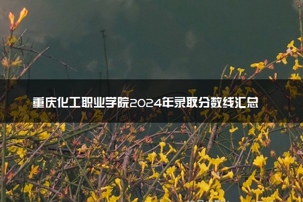 重庆化工职业学院2024年录取分数线汇总 各省最低分与位次排名及2025报考指南