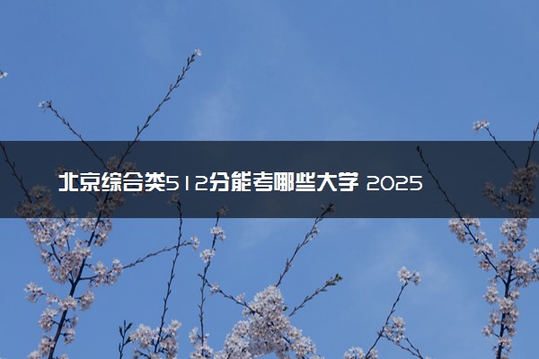 北京综合类512分能考哪些大学 2025考生稳上的大学名单