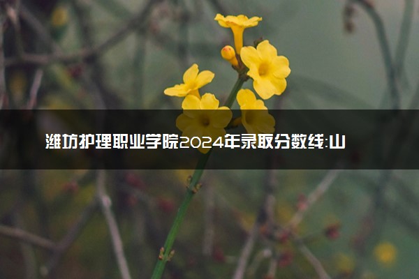 潍坊护理职业学院2024年录取分数线：山东459分领跑，山东320分垫底 2025报考建议及事项
