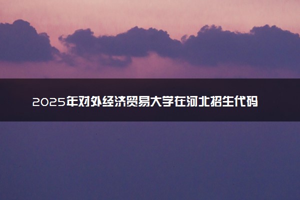 2025年对外经济贸易大学在河北招生代码及专业代码 对外经济贸易大学河北代码是多少？怎么查询？