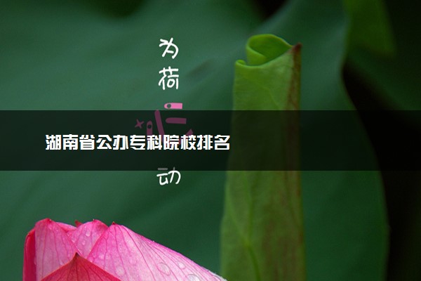 湖南省公办专科院校排名