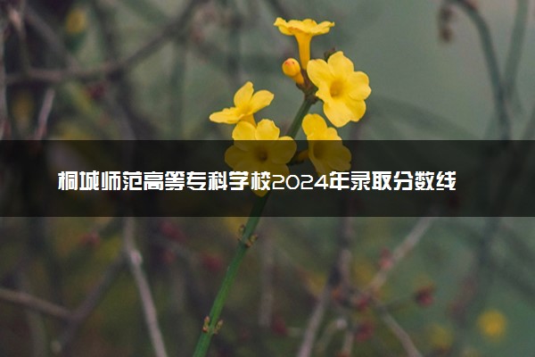 桐城师范高等专科学校2024年录取分数线汇总 各省最低分与位次排名及2025报考指南