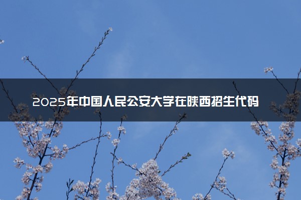 2025年中国人民公安大学在陕西招生代码：1036 专业代码及报考指南