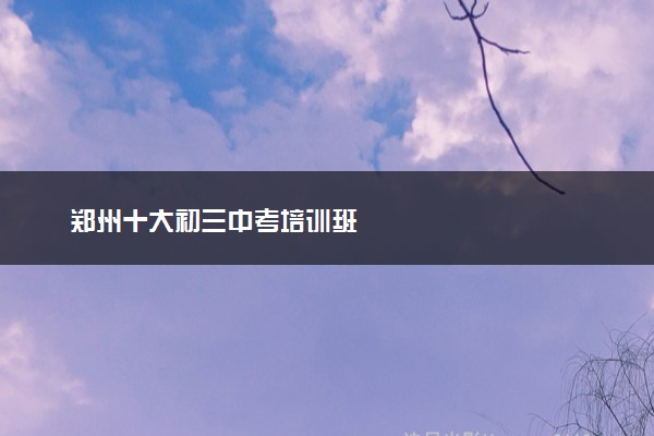 郑州十大初三中考培训班