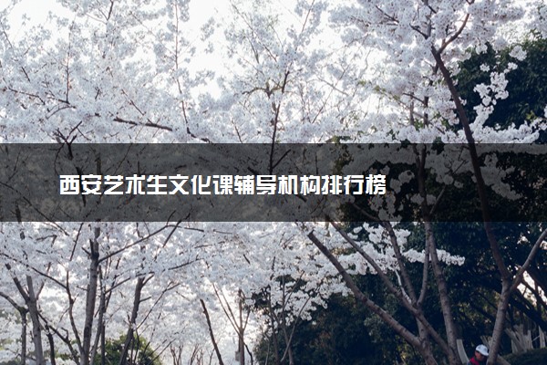 西安艺术生文化课辅导机构排行榜