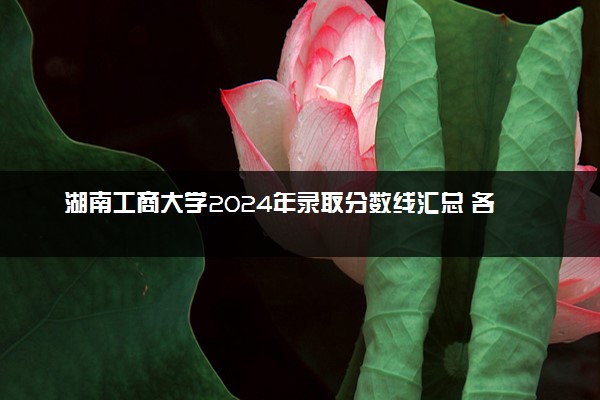 湖南工商大学2024年录取分数线汇总 各省最低分与位次排名及2025报考指南
