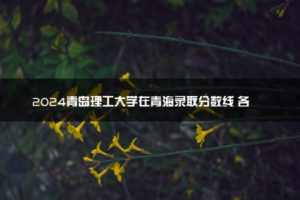 2024青岛理工大学在青海录取分数线 各专业分数及位次