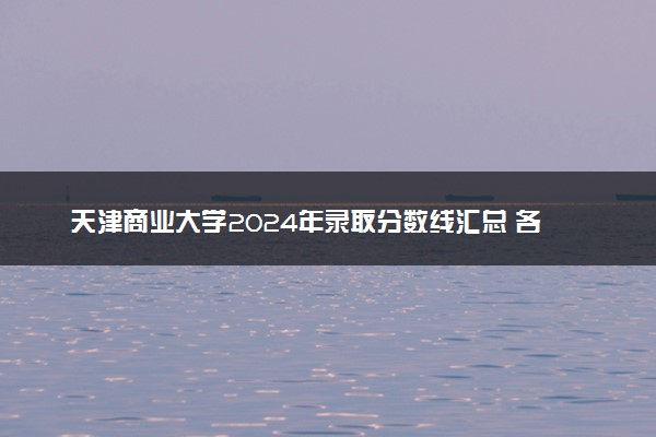 天津商业大学2024年录取分数线汇总 各省最低分与位次排名及2025报考指南