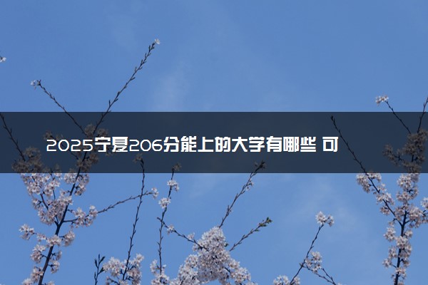 2025宁夏206分能上的大学有哪些 可以报考院校名单