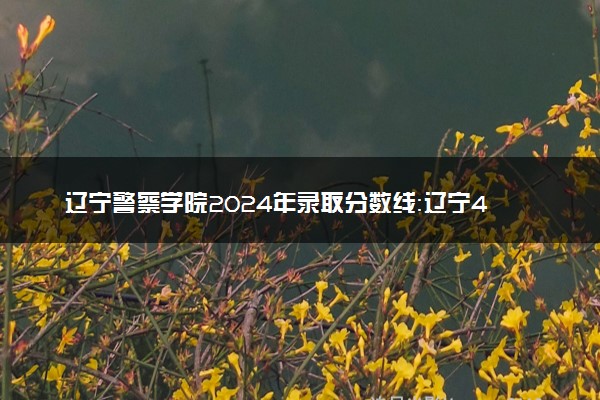 辽宁警察学院2024年录取分数线：辽宁495分领跑，辽宁463分垫底 2025报考建议及事项