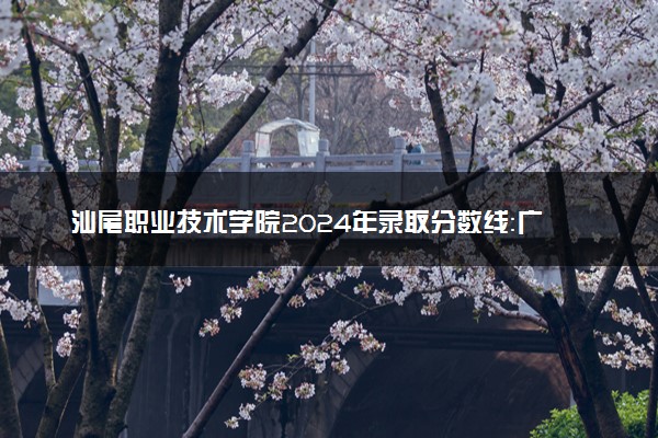 汕尾职业技术学院2024年录取分数线：广东443分领跑，广西261分垫底 2025报考建议及事项