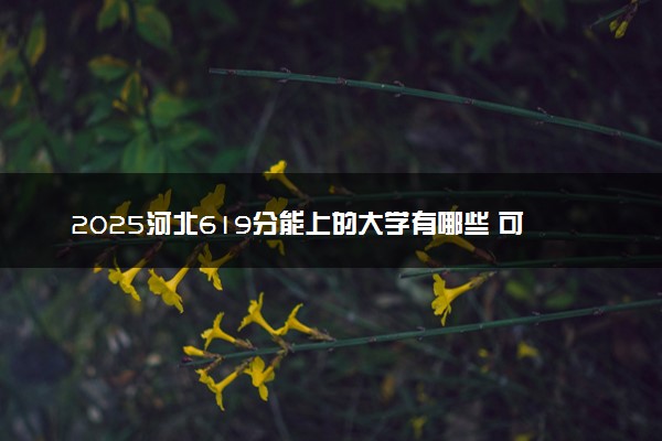 2025河北619分能上的大学有哪些 可以报考院校名单
