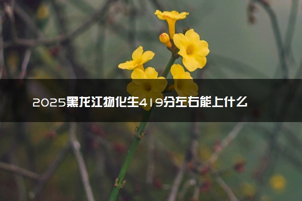 2025黑龙江物化生419分左右能上什么大学 可以报考的院校名单