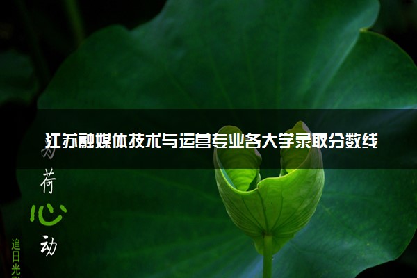 江苏融媒体技术与运营专业各大学录取分数线：最低220分能上 开设院校及位次