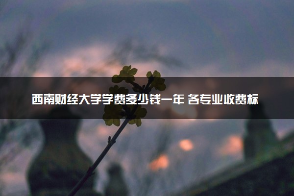 西南财经大学学费多少钱一年 各专业收费标准（2025年参考）