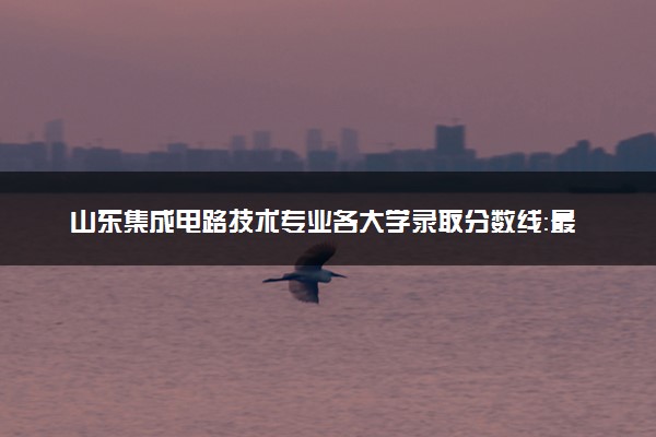 山东集成电路技术专业各大学录取分数线：最低217分能上 开设院校及位次