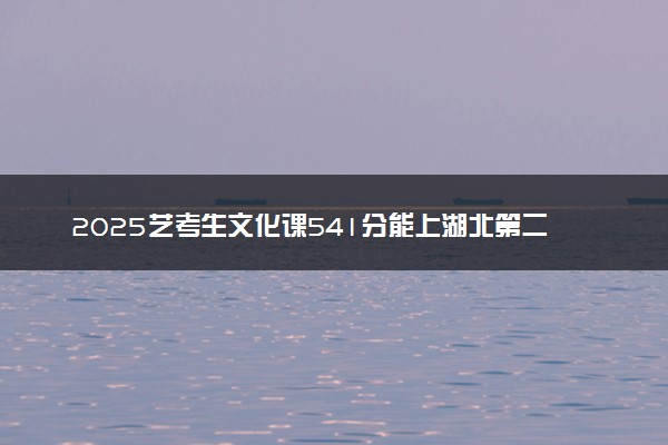 2025艺考生文化课541分能上湖北第二师范学院吗