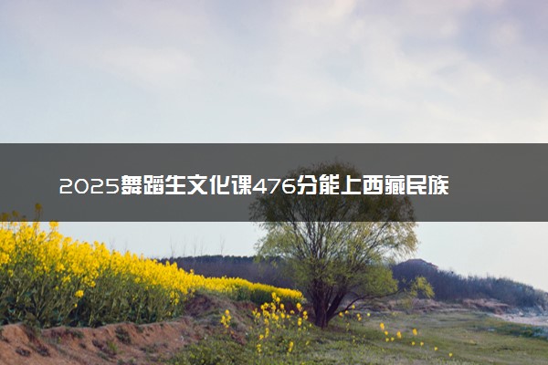 2025舞蹈生文化课476分能上西藏民族大学吗