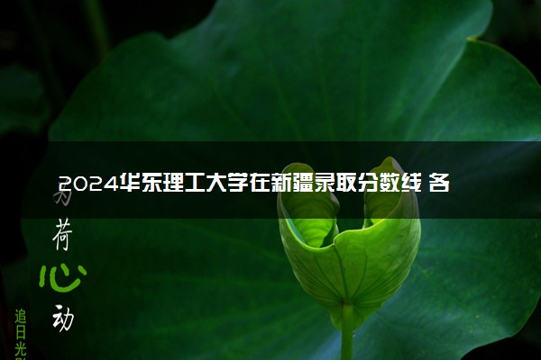 2024华东理工大学在新疆录取分数线 各专业分数及位次