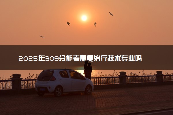 2025年309分能考康复治疗技术专业吗 309分康复治疗技术专业大学推荐