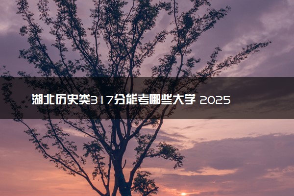 湖北历史类317分能考哪些大学 2025考生稳上的大学名单