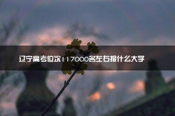辽宁高考位次117000名左右报什么大学好（2025年参考）