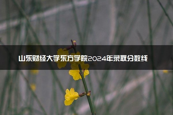 山东财经大学东方学院2024年录取分数线汇总 各省最低分与位次排名及2025报考指南