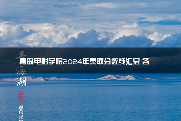青岛电影学院2024年录取分数线汇总 各省最低分与位次排名及2025报考指南
