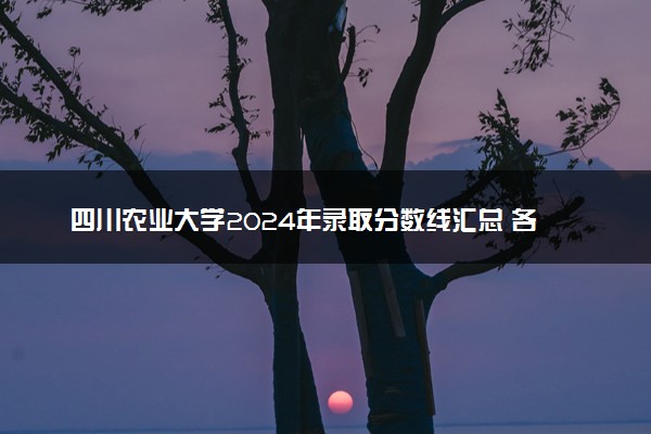 四川农业大学2024年录取分数线汇总 各省最低分与位次排名及2025报考指南