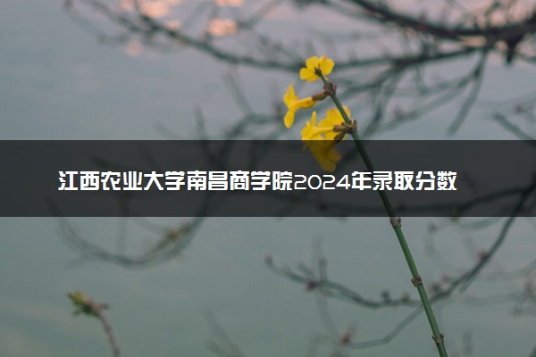 江西农业大学南昌商学院2024年录取分数线汇总 各省最低分与位次排名及2025报考指南