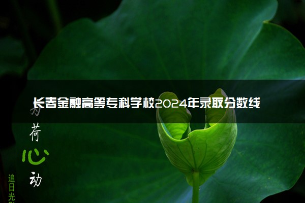 长春金融高等专科学校2024年录取分数线汇总 各省最低分与位次排名及2025报考指南